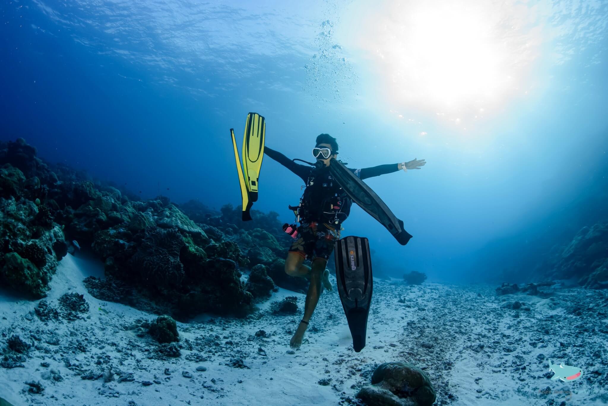 OW 初階潛水員證照（Open Water Diver）